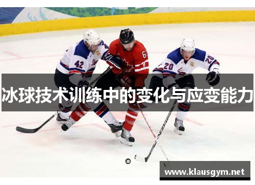 冰球技术训练中的变化与应变能力